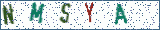 Type the letters shown in the picture