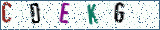 Type the letters shown in the picture