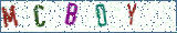 Type the letters shown in the picture