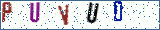 Type the letters shown in the picture